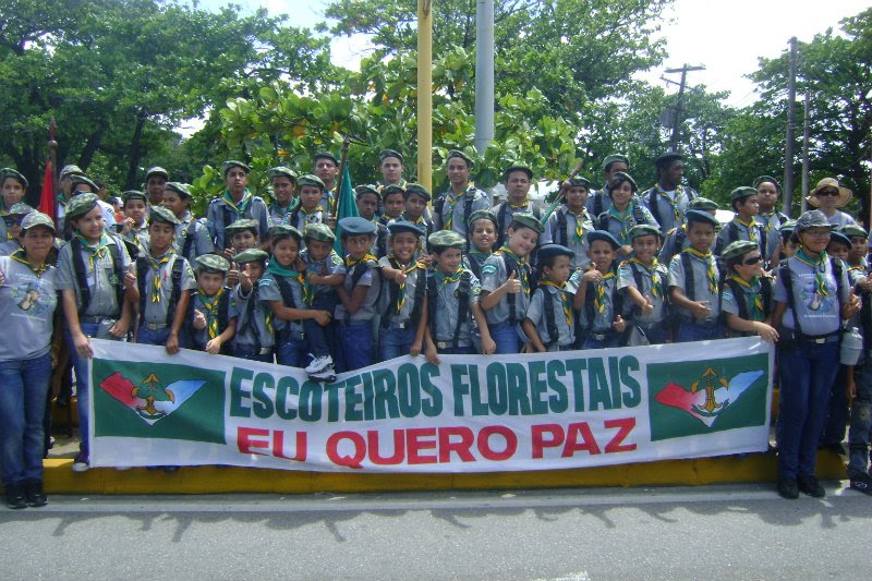Ficheiro:Escoteiros florestais desfile de sete de setembro 2011.jpg